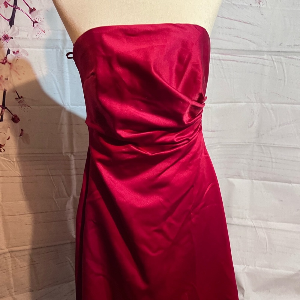 Michelangelo red dress